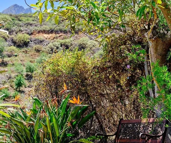 Lantställe Tizziri Rural